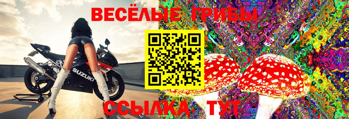Как найти наркотики?  Метадон  Альфа ПВП СОЛЬ кристаллы  КОКАИН  Вход с VPN  Канабис  Ишимбай  Меф кристаллы 