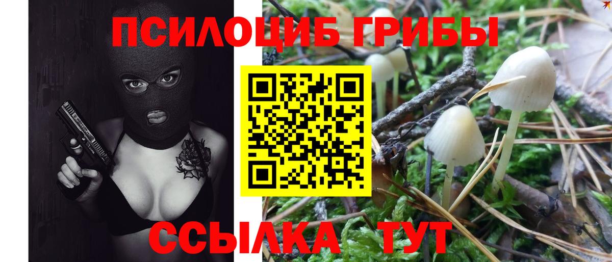 Галлюциногенные грибы GOLDEN TEACHER Ишимбай