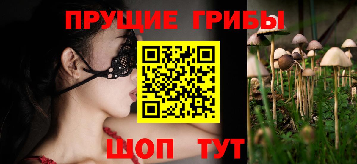 Галлюциногенные грибы Psilocybine cubensis  Вход с VPN  Ишимбай 